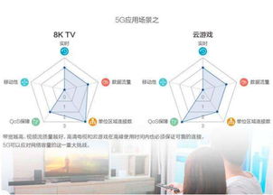 智士軟件 北京軟件開發領域的新銳力量